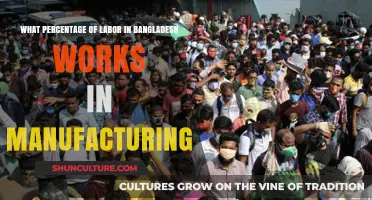 Manufacturing Labor Force in Bangladesh: A Percentage Breakdown