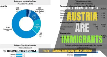 Austria's Immigrant Population: A Snapshot of Diversity and Inclusion