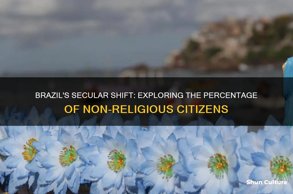 what percentage of people in brazil are not religious