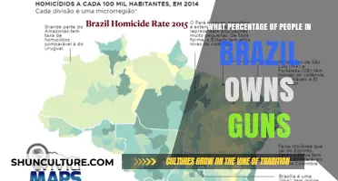 Brazil's Gun Ownership: Uncovering the Percentage of Armed Citizens