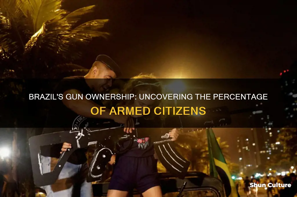 what percentage of people in brazil owns guns