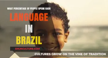 Brazil's Linguistic Diversity: Exploring Language Usage Percentages Across the Nation