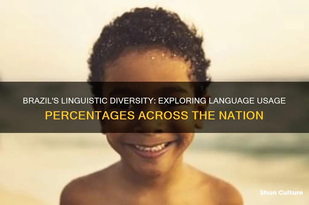 what percentage of people speak each language in brazil