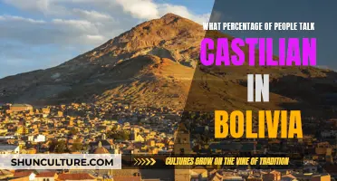 How Many Bolivians Speak Castilian?