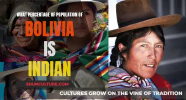 Exploring the Ethnic Diversity of Bolivia's Population