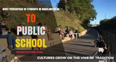 Public School Enrollment in Bangladesh: A Comprehensive Percentage Breakdown