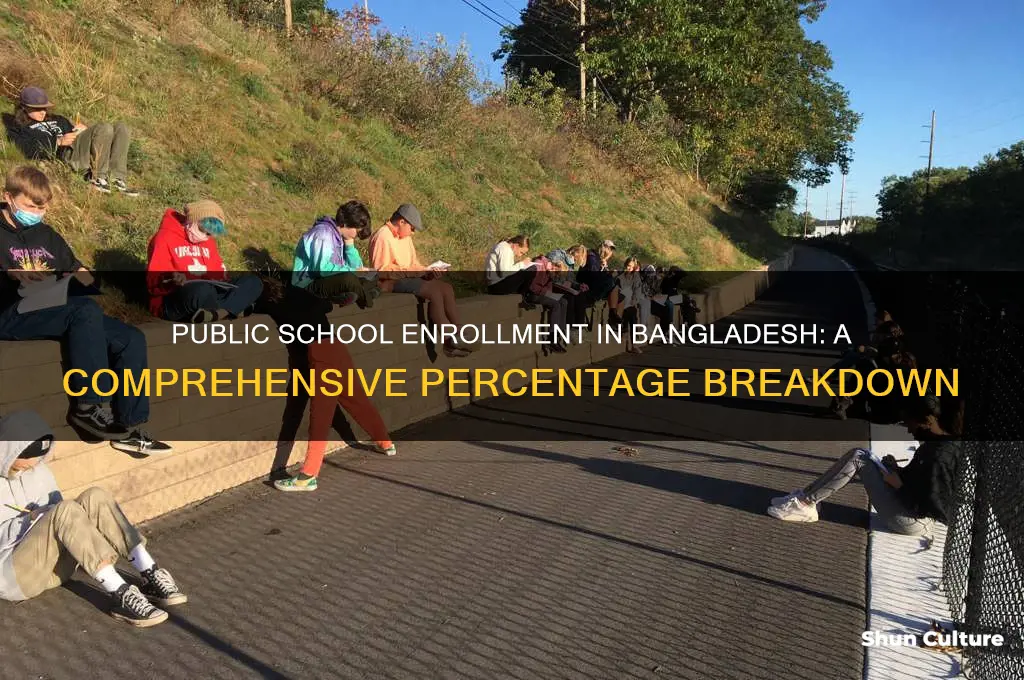what percentage of students in bangladesh go to public school