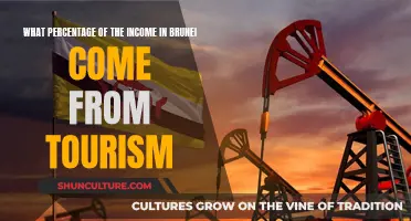 How Tourism Contributes to Brunei's Economy