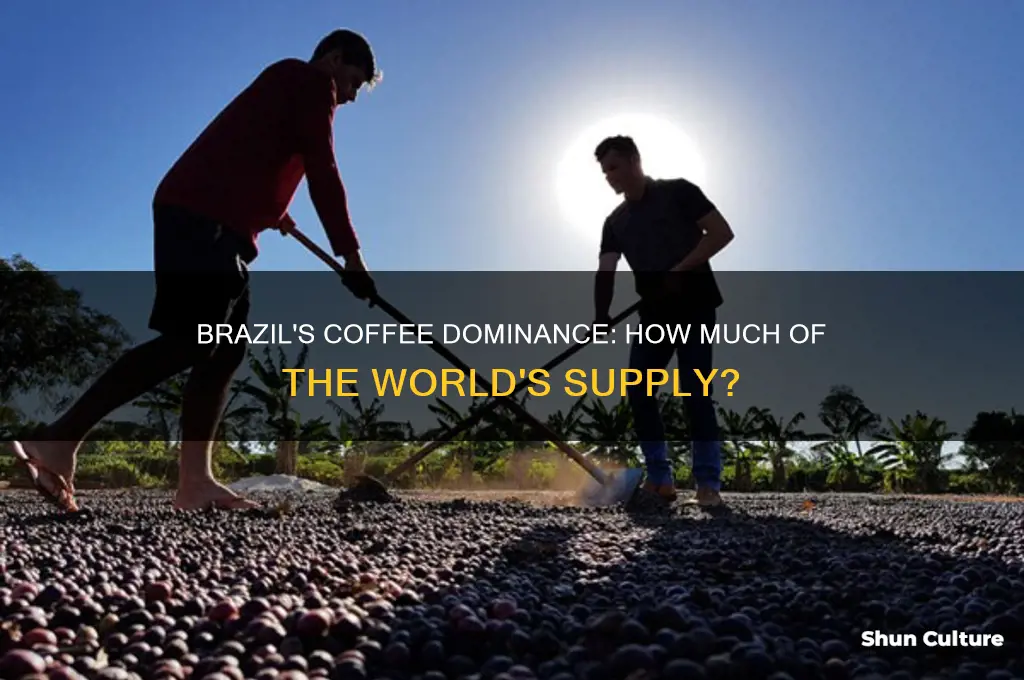 what percentage of the world