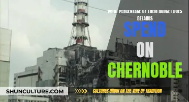 Belarus' Chernobyl Budget: A Costly Legacy