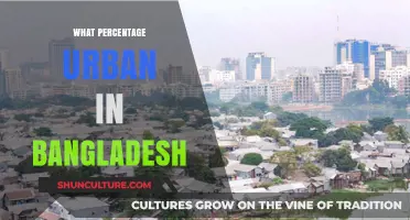 Urbanization in Bangladesh: Exploring the Growing Percentage of City Dwellers