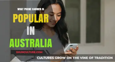 Australia's Preferred Phone Carrier: Who's Leading the Market?