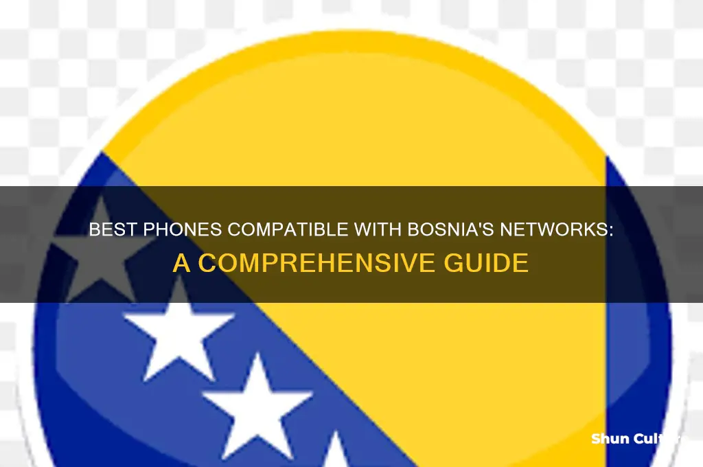 what phones would work in bosnia