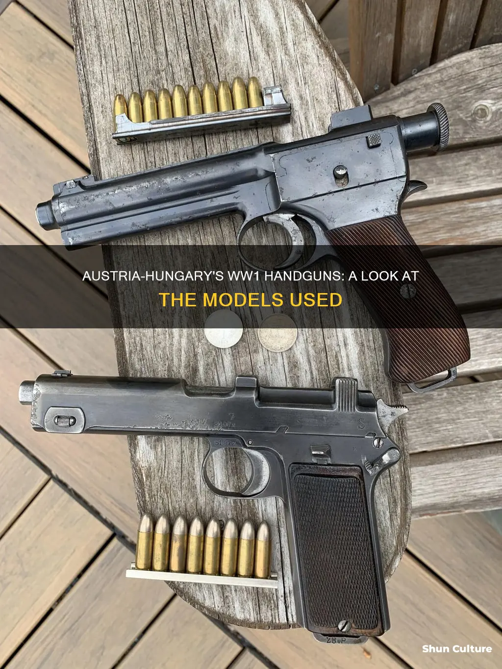 what pistols did austria hungary use in ww1