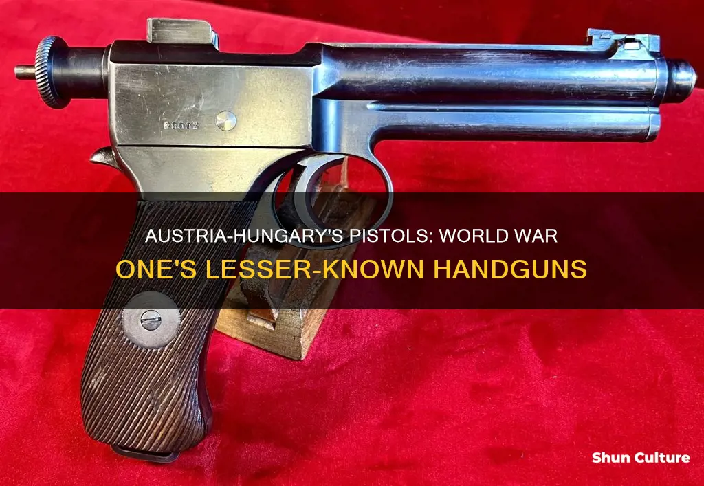 what pistols did austria hungary use in ww1