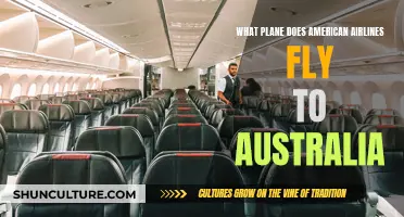 American Airlines' Long-Haul Fleet: Australia-Bound Jets