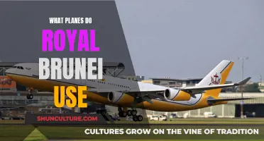 The Aircraft Fleet of Royal Brunei Airlines