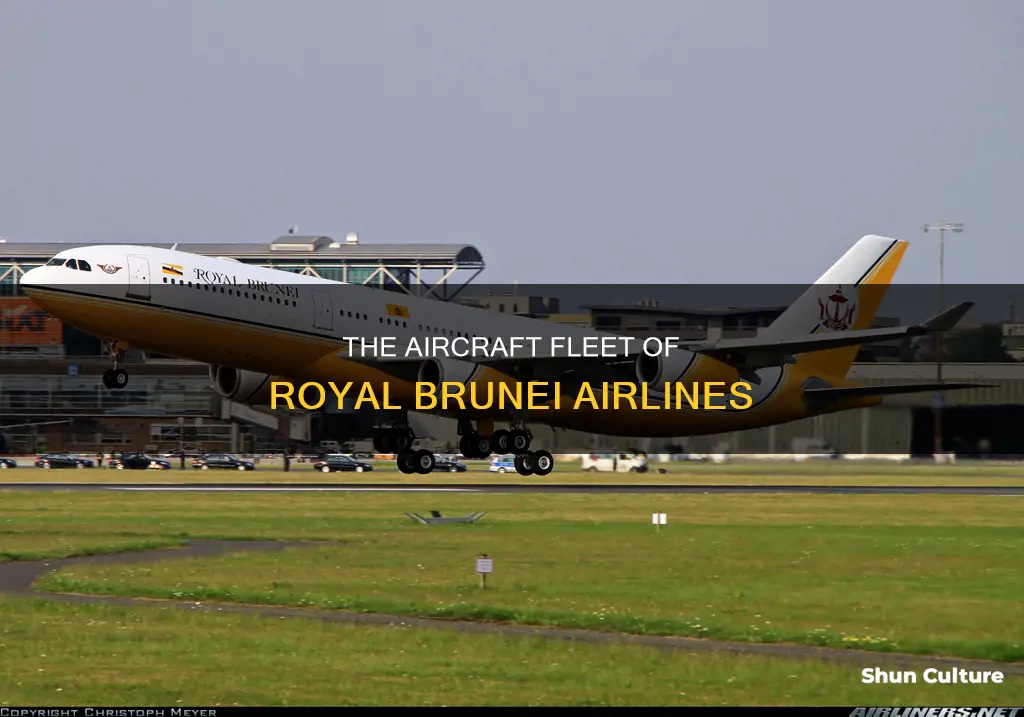 what planes do royal brunei use