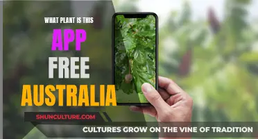 Free Plant Identification App for Australia