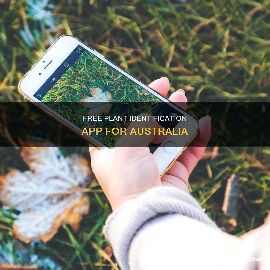 what plant is this app free australia
