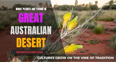 The Great Australian Desert: A Botanical Exploration