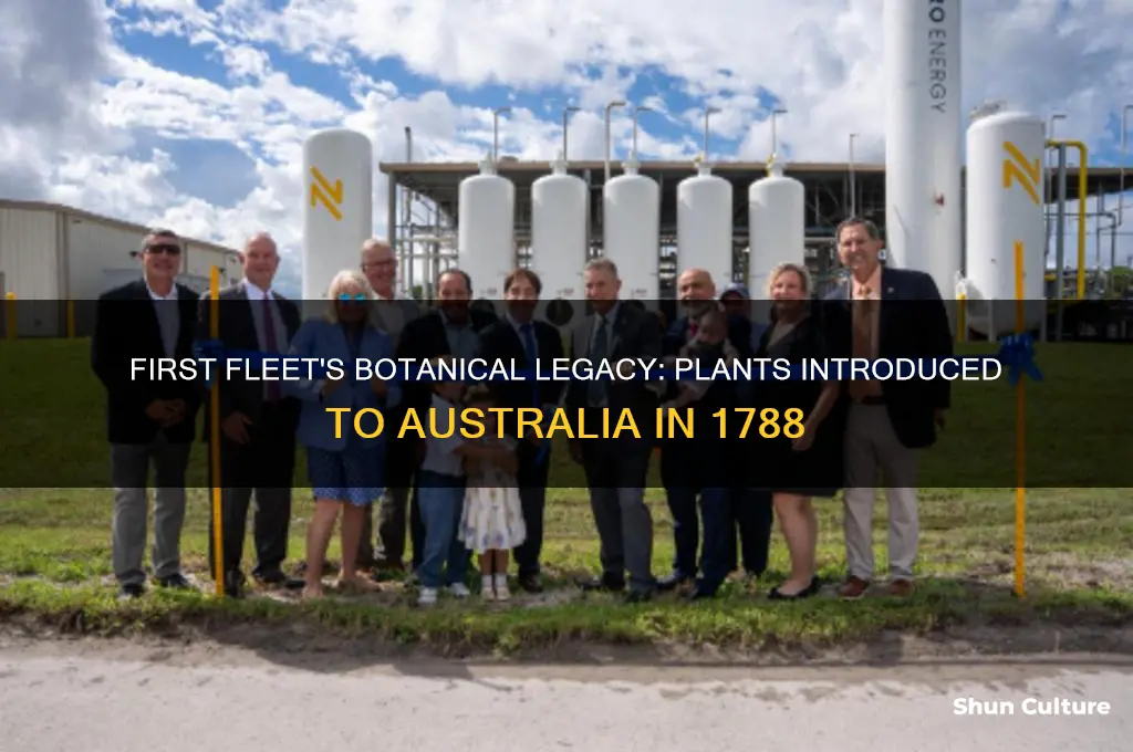 what plants did the first fleet bring to australia