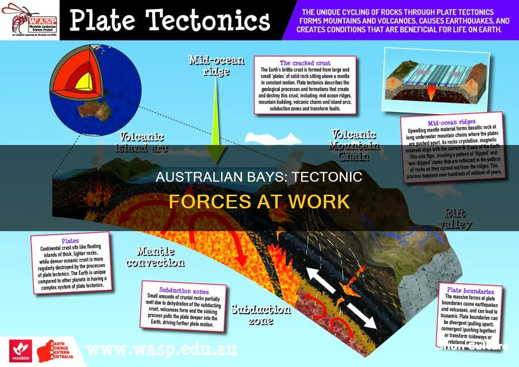 what plate motions make bays in australia
