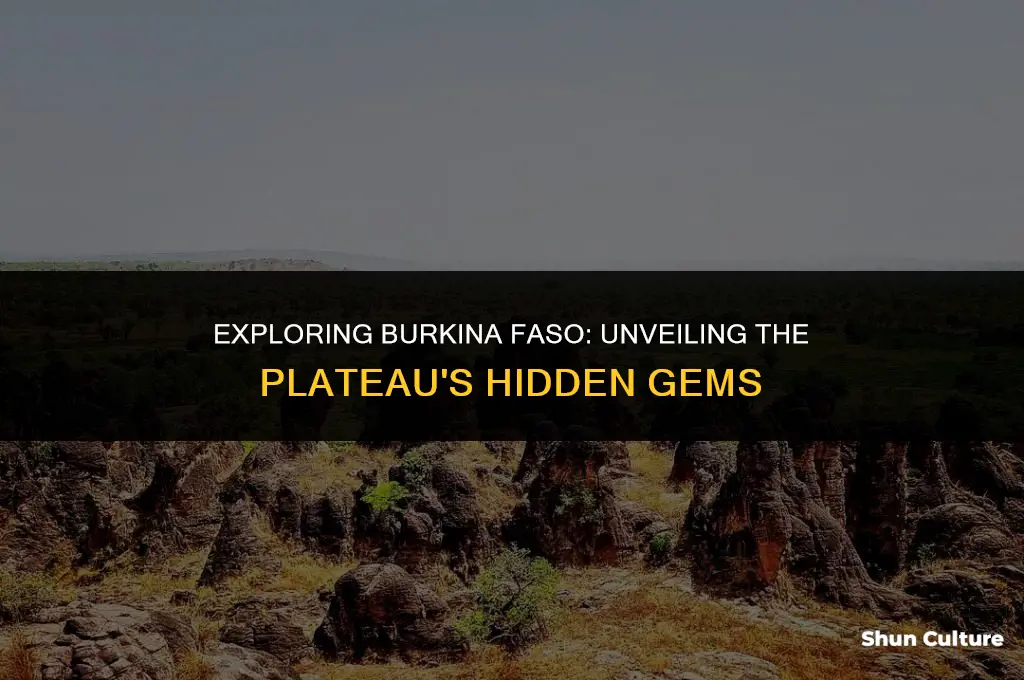 what plateau is burkina faso locate don