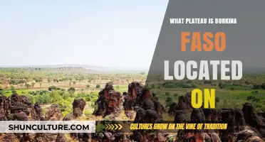 Exploring Burkina Faso's Unique Plateau: A Geographic Overview