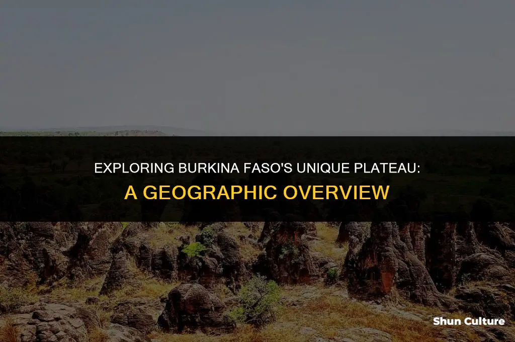 what plateau is burkina faso located on
