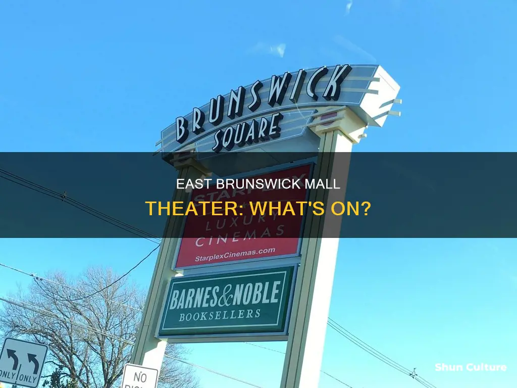 what playing at east brunswick mall theater