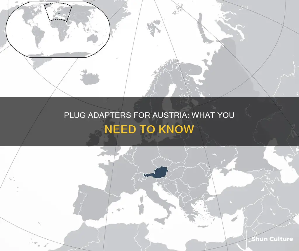 what plug adapters for austria