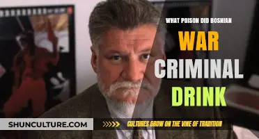 Bosnian War Criminal's Poison: Unraveling the Mystery of His Suicide