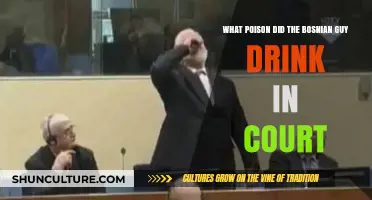 Bosnian Man's Courtroom Poison Choice: Unraveling the Shocking Suicide Mystery