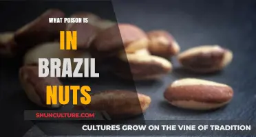 Uncovering the Hidden Toxin in Brazil Nuts: A Health Alert