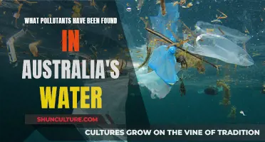 Australia's Water: Pollutants and Contamination Revealed