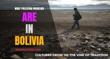 Bolivia's Pollution Problems: A Comprehensive Overview