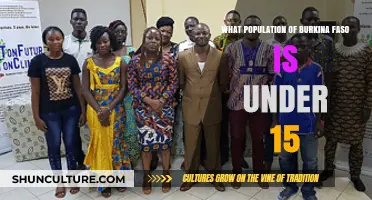 Youthful Burkina Faso: Exploring the Vibrant Under-15 Demographic