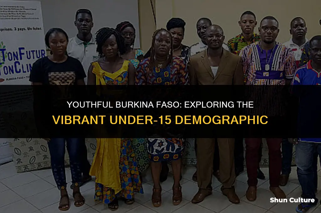what population of burkina faso is under 15