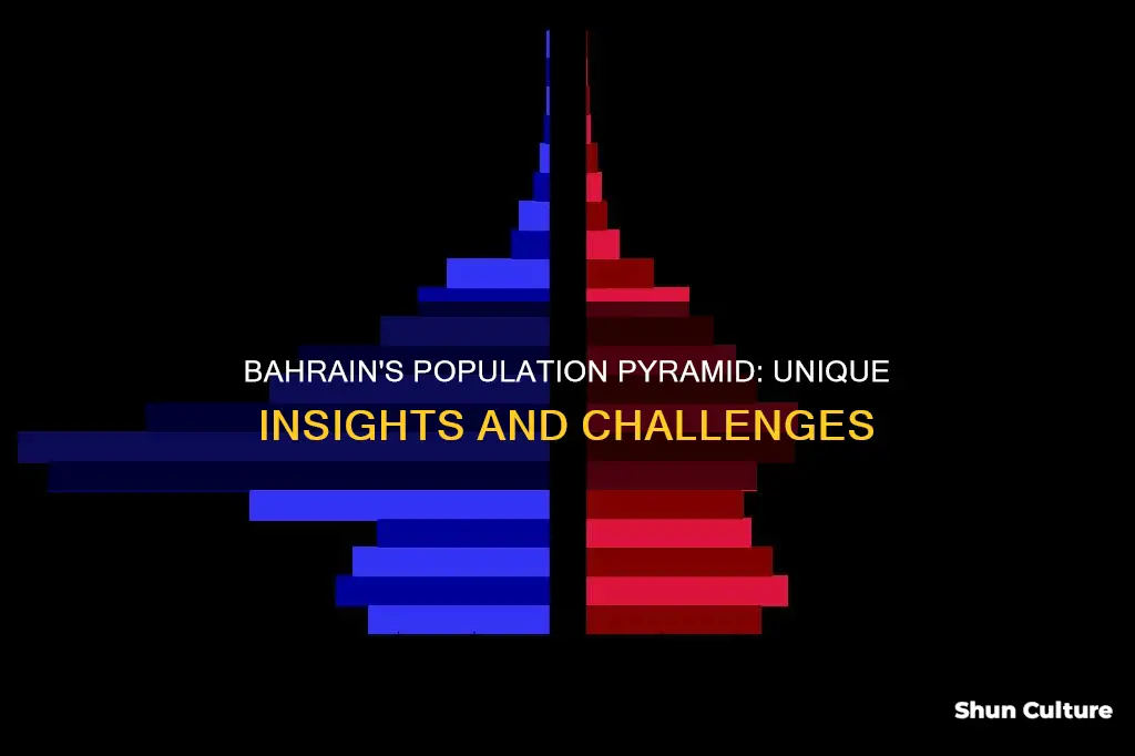 what population pyramid is bahrain