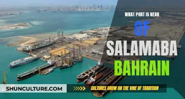 Bahrain's Salamabad Port and its Neighboring Ports