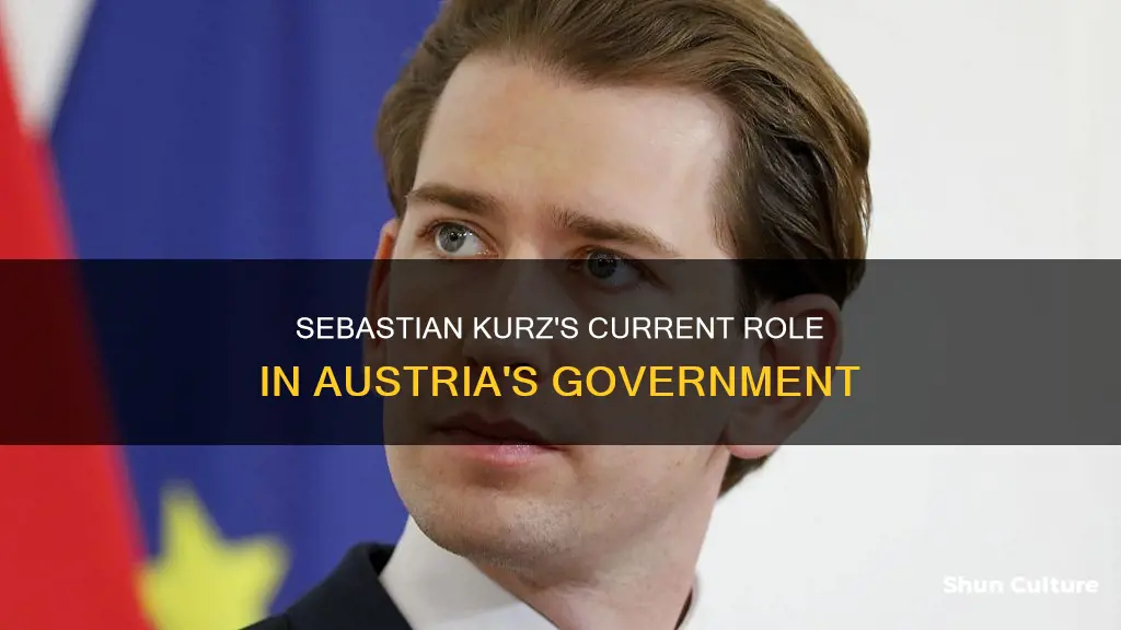 what position does sebastian kurz play in austria