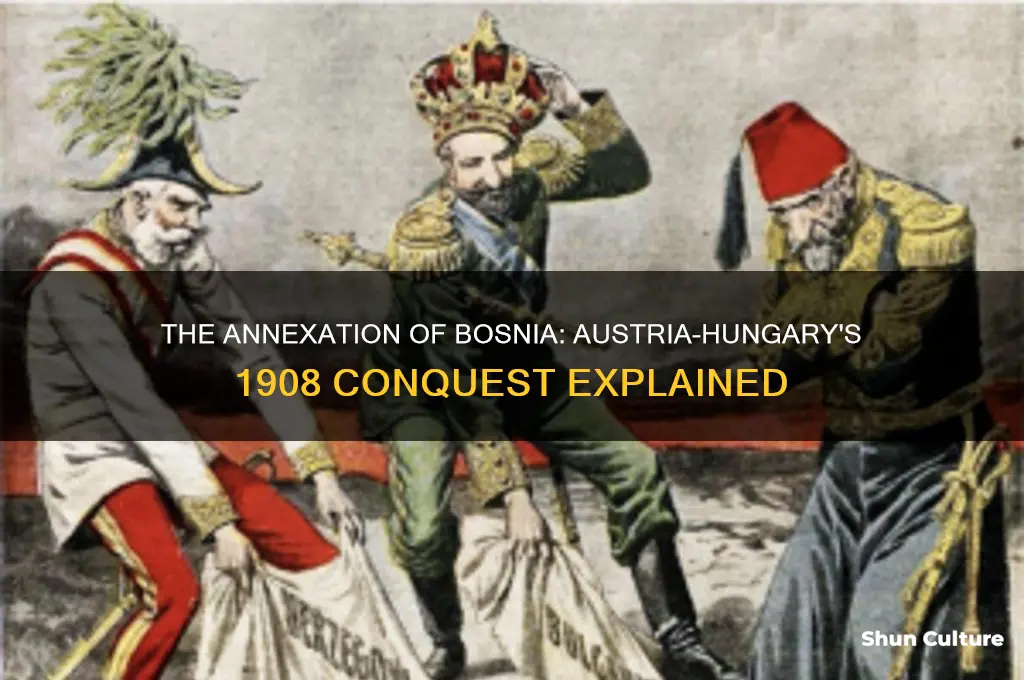 what power conquered bosnia in 1908
