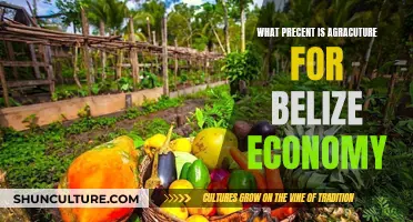 Belize's Economy: Agricultural Percentage