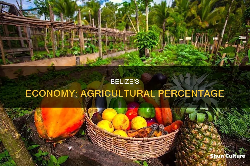 what precent is agracuture for belize economy