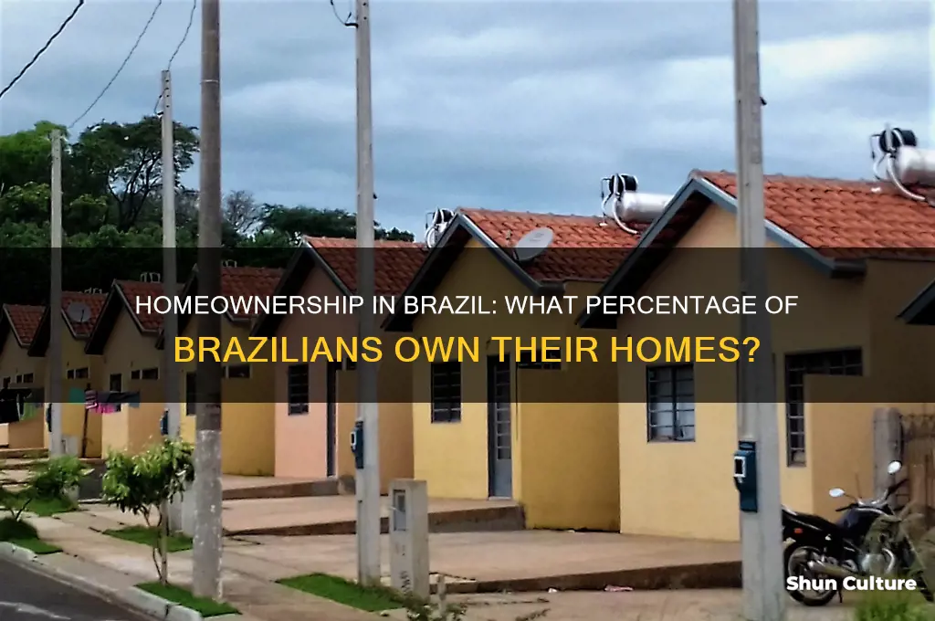 what prectage of people own there homes in brazila