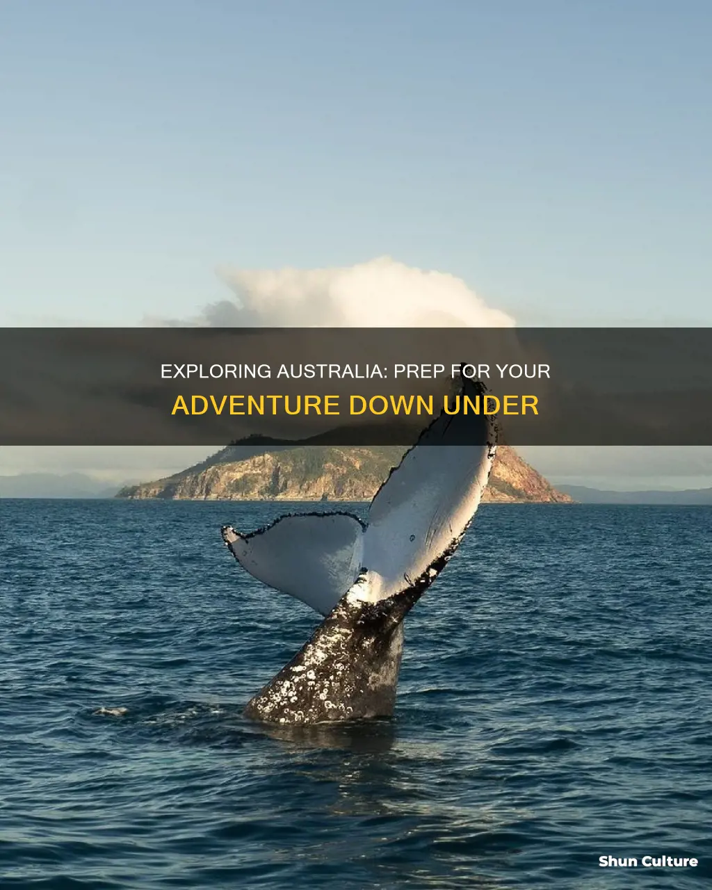 what preparation do I have to make to visit australia