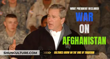 The War in Afghanistan: Unraveling the Decision to Declare War