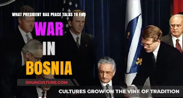 President Clinton's Diplomacy: Ending the Bosnian War Through Peace Talks