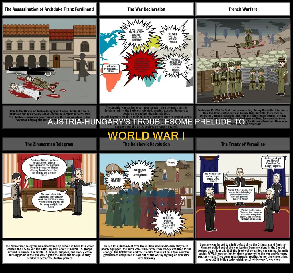what problems did austria hungary face before ww1